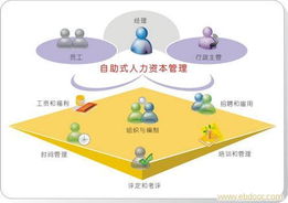 上海專業(yè)人力資源服務(wù) 全方位解析勞務(wù)派遣、免費中介與人事代理